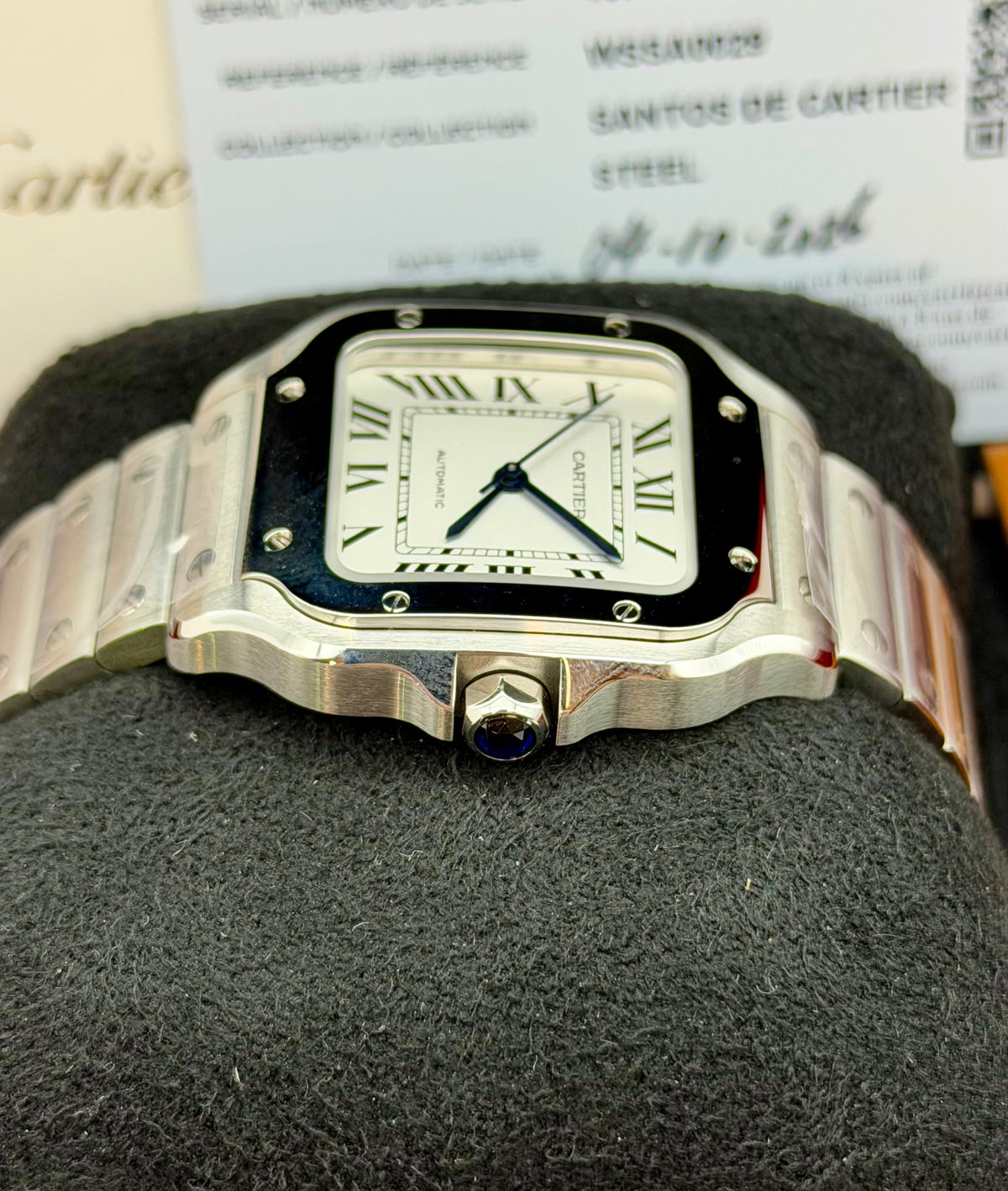 Cartier Santos wssa0029 full set 2026